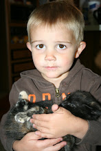 Dawson with the kitty