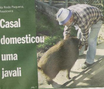 [Arisca1.JPG]