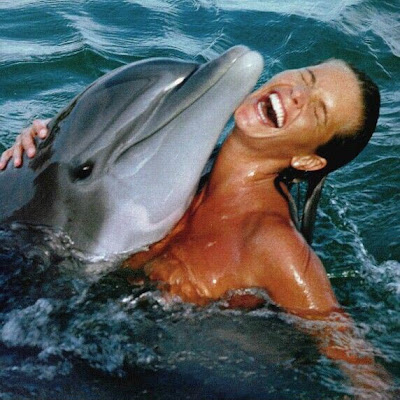 dolphin sex