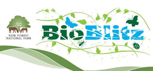 Bioblitz The Park