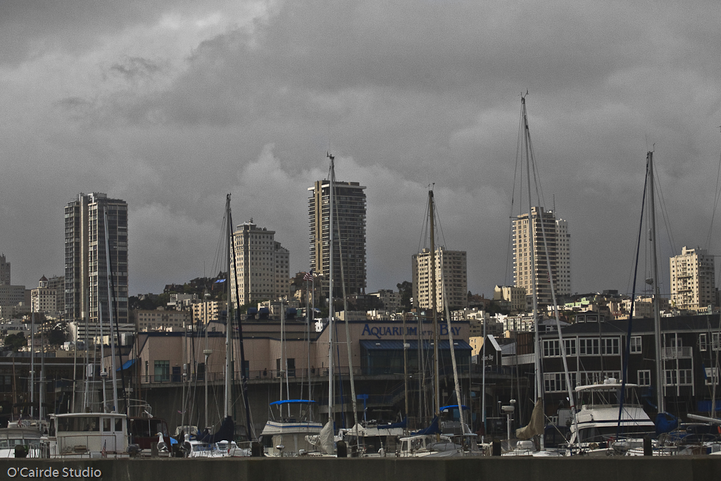 California's Majestic Lighthouse's Point Diablo
