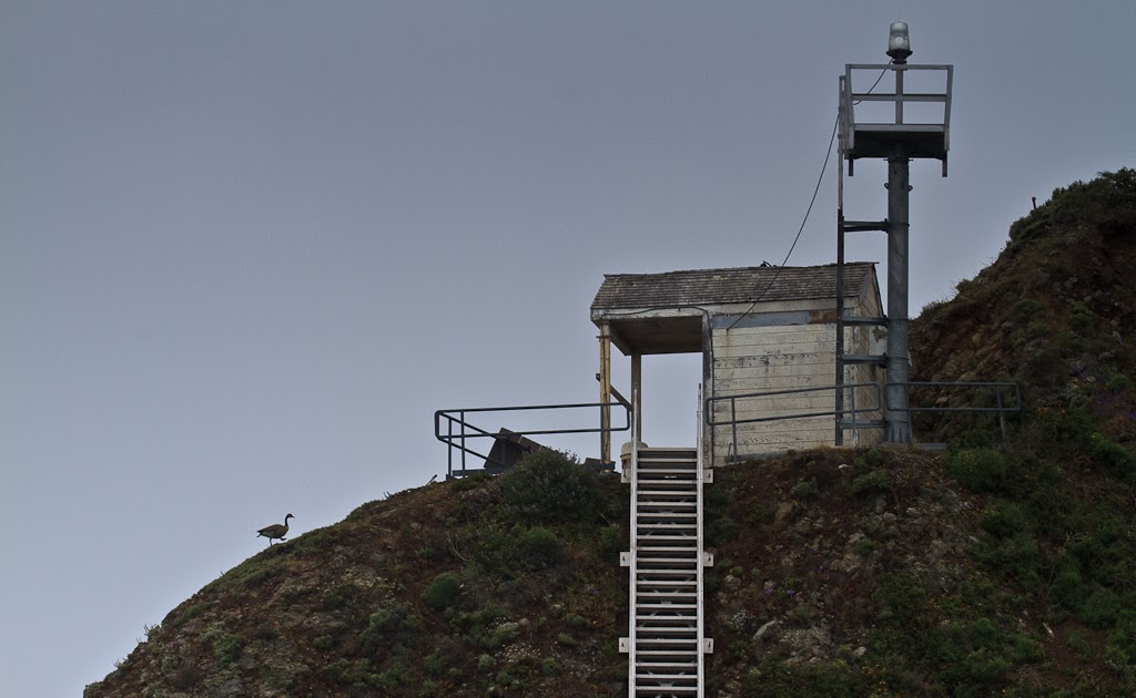 California's Majestic Lighthouse's Point Diablo