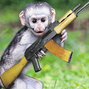 terrorist monkey