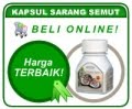 Keampuhan Produk Sarang semut