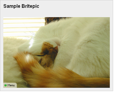 Britepic example 1