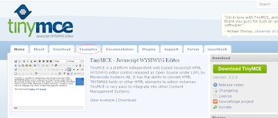TinyMCE Example tab