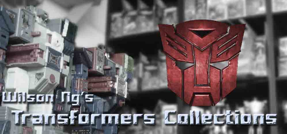 Wilson Ng / Superwilson's Transformers Collections