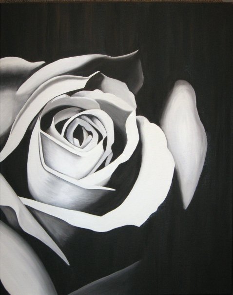 black and white pictures of roses. abstract lack rose pencil