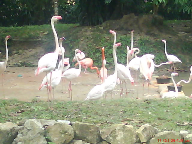 [DSC01401.JPG]