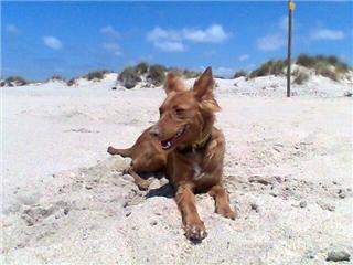 VERA EN LA PLAYA!!