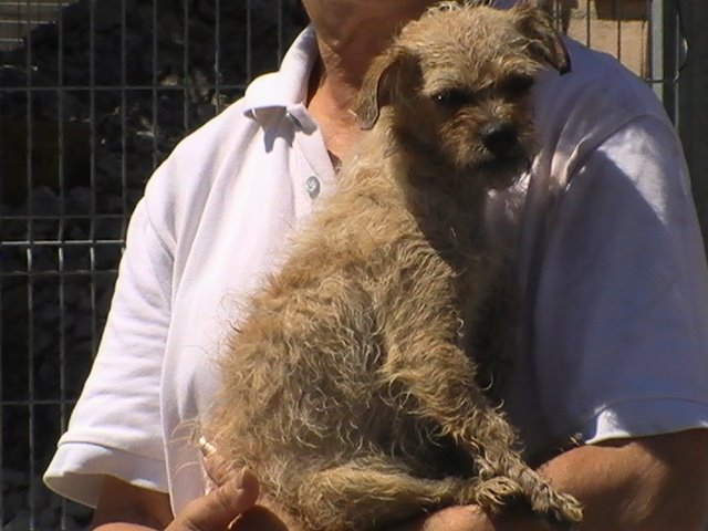 LUA YA ESTÁ EN ALEMANIA, ADOPTADA!