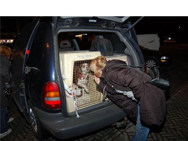 Nuestra querida KIRA se fué a Holanda despues de tantos años con nosotras!!