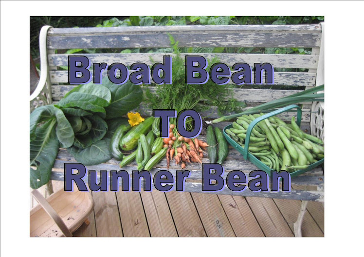 Broad Bean to Runner Bean