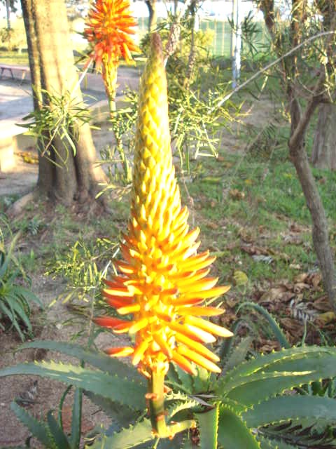 [DSC00972.JPG]