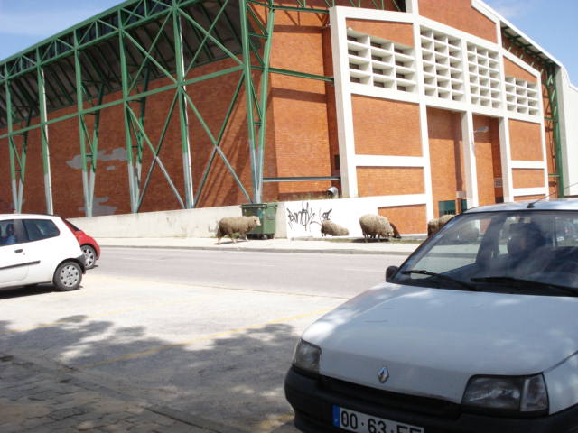[DSC00053.JPG]