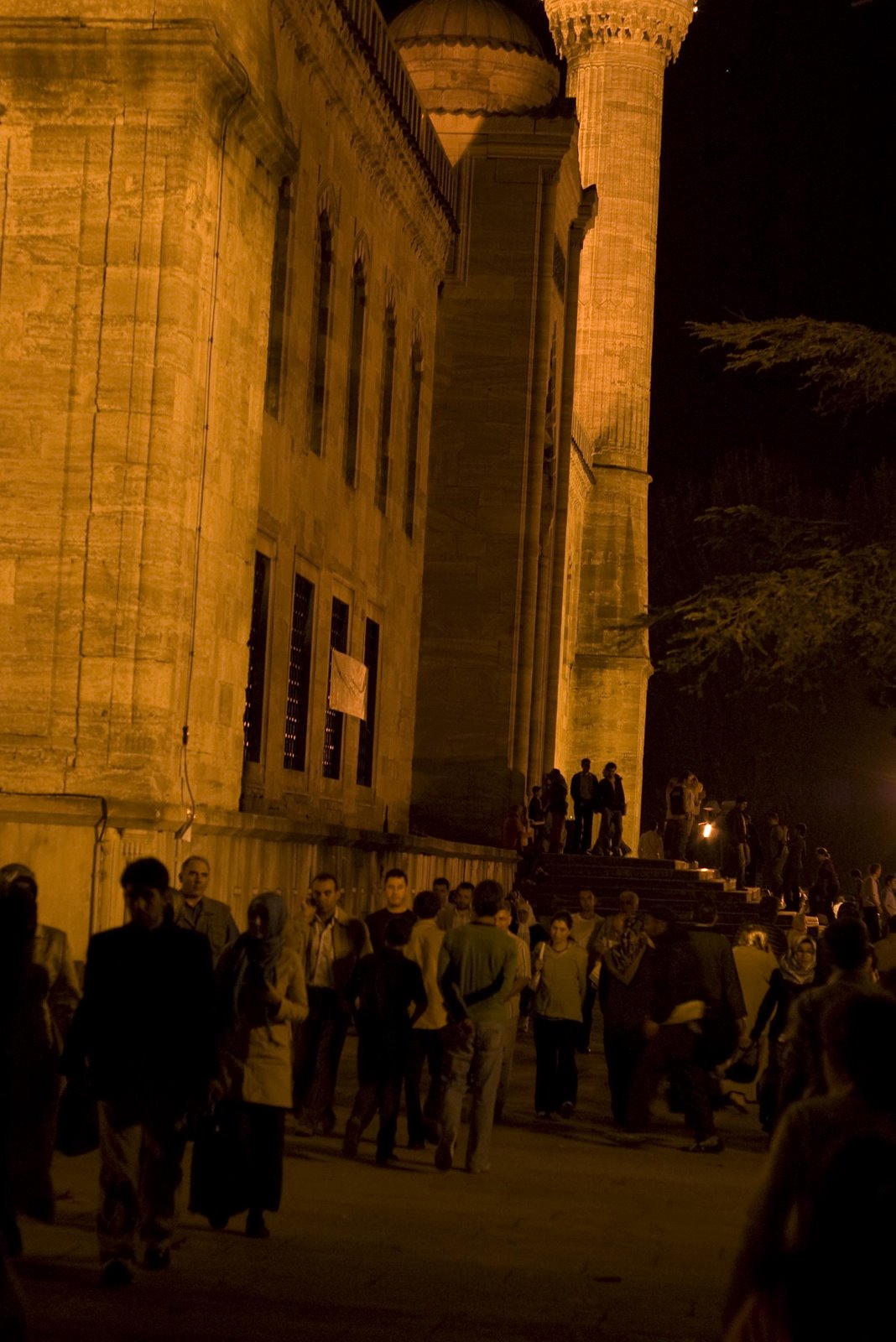 [20071008-IMGP6630.JPG]