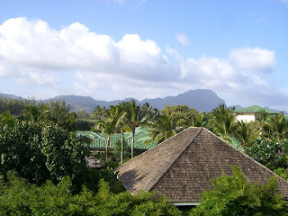 a roof of a building surrounded by trees