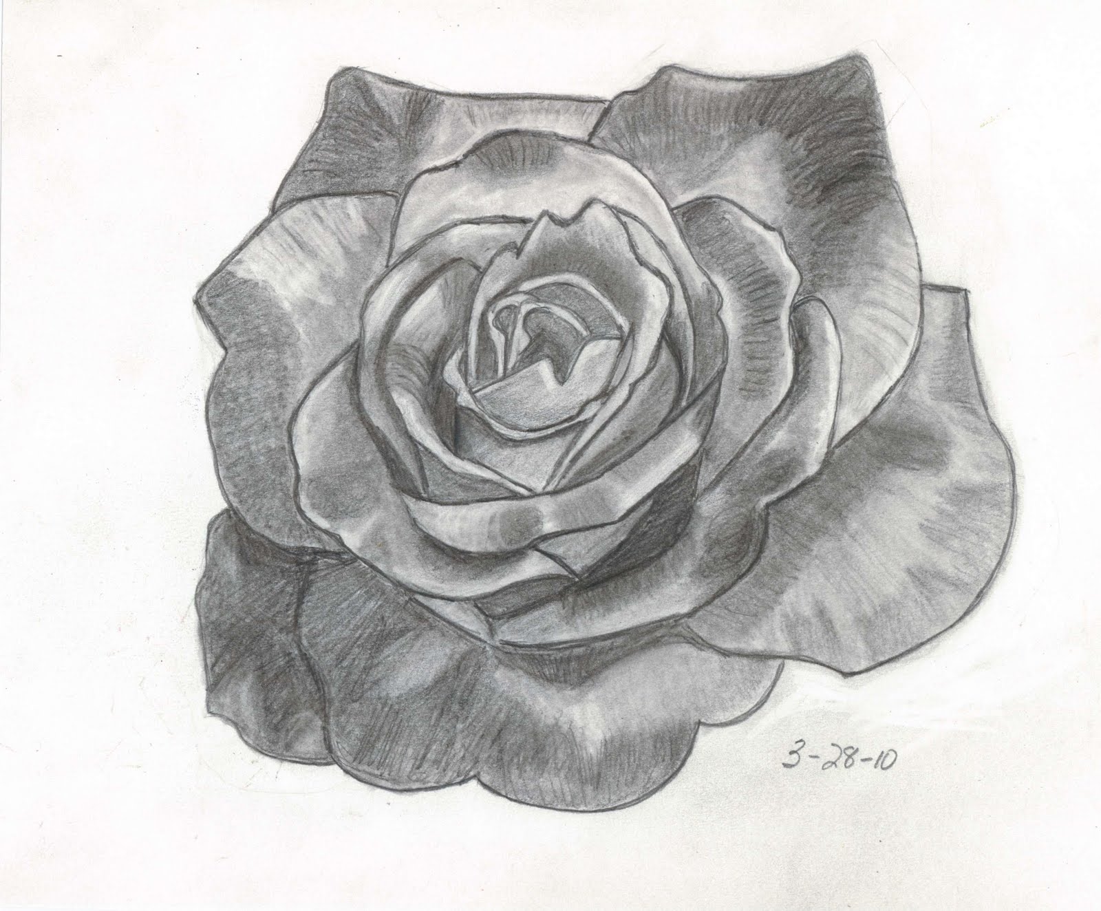 Sketches and Things Variegated Rose Pencil