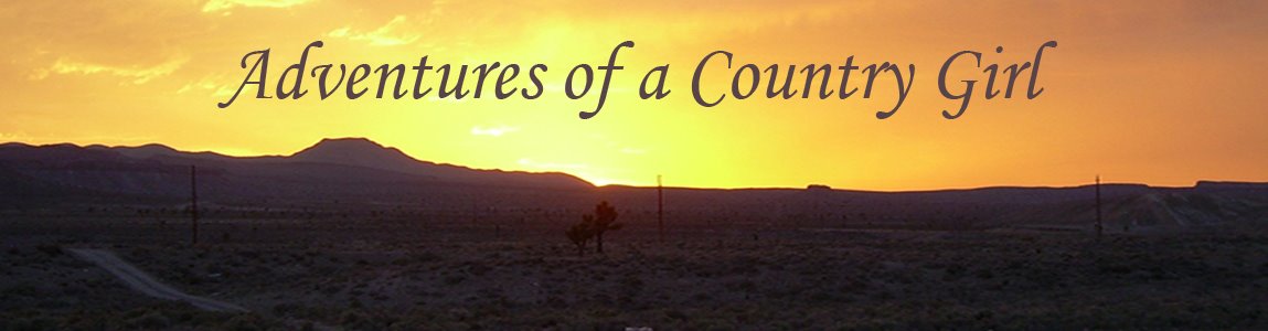 Adventures of a Country Girl