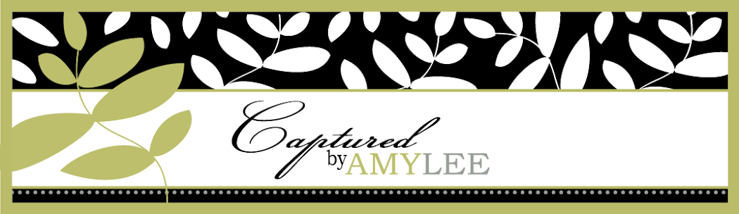Amy Lee's Photography