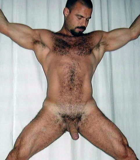 is shane mack gay beautiful transsexual shemale