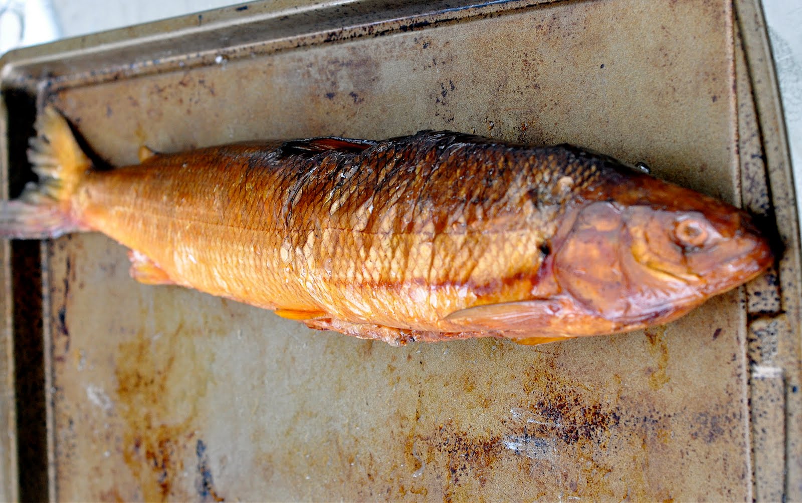 Ashley's Cooking Adventures Smoked Whitefish Dip