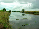 Laguna del Curibano
