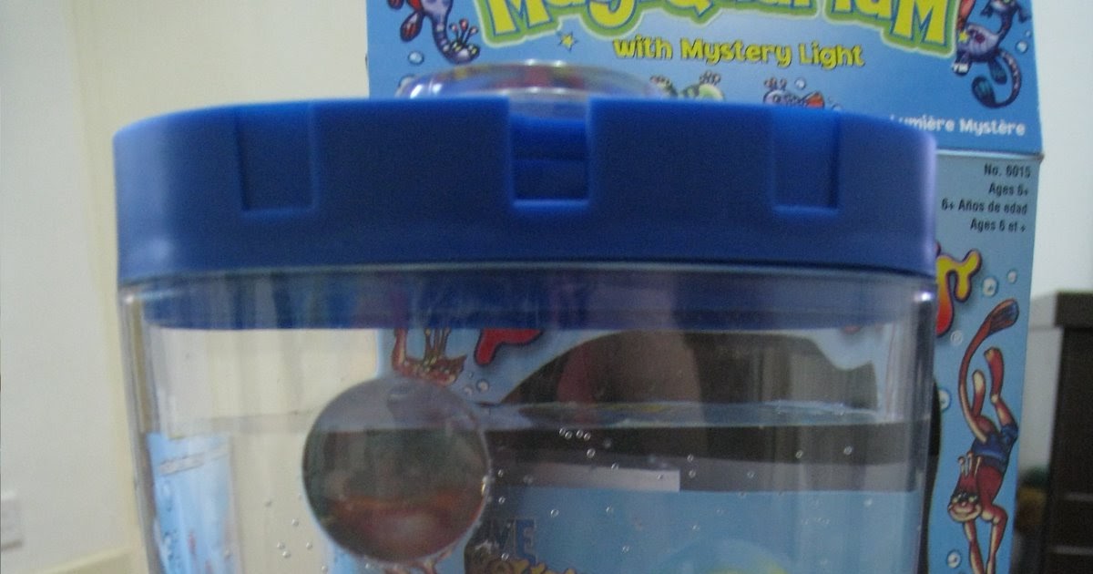 Tracy, Chef's Wife Sea Monkey eggs released