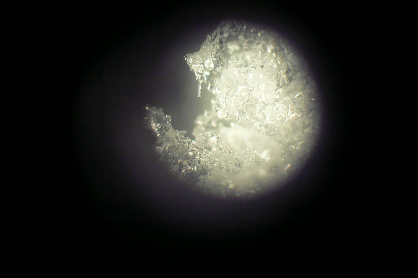 [P1120096.JPG]