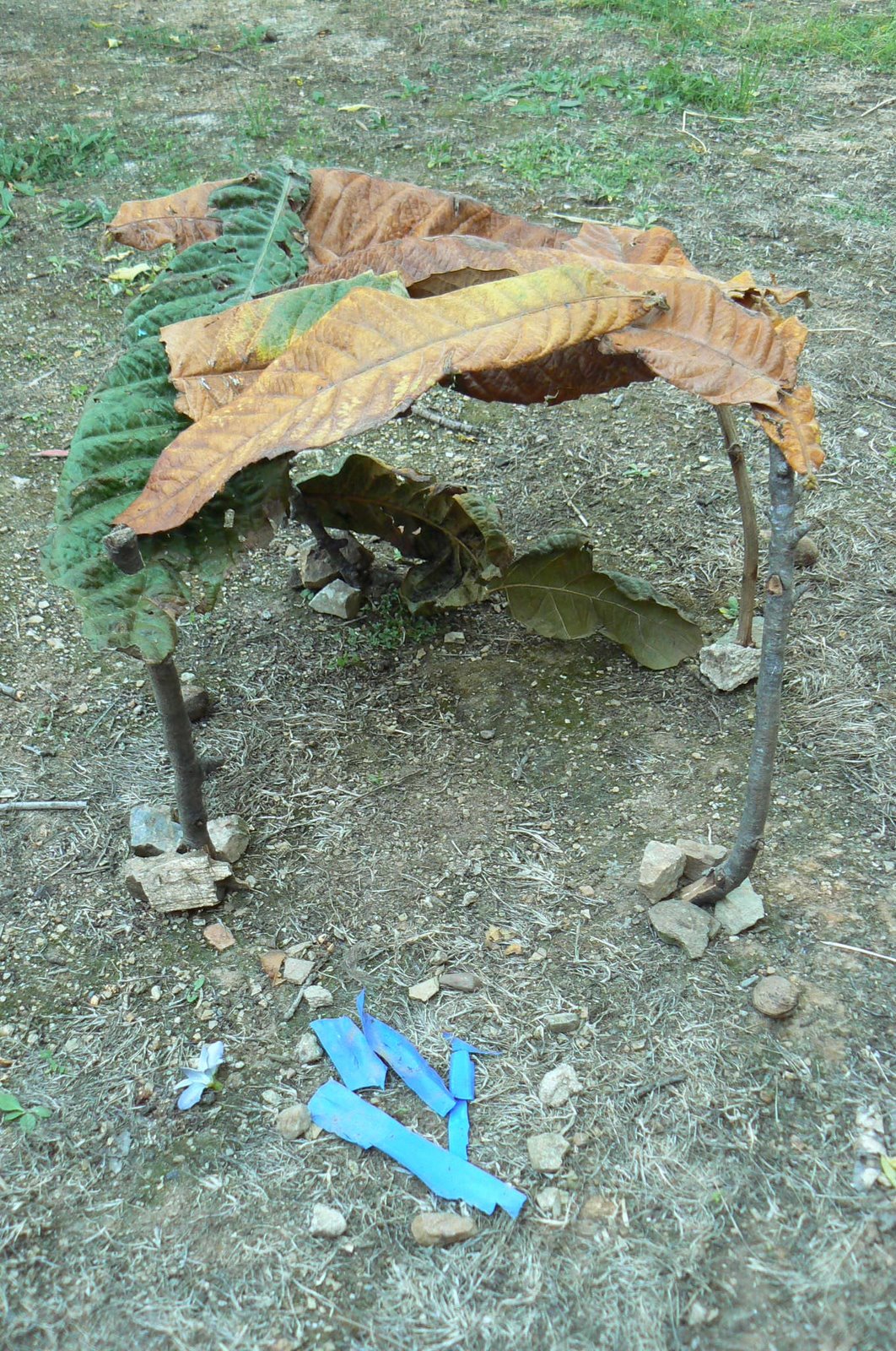 [P1090299.JPG]