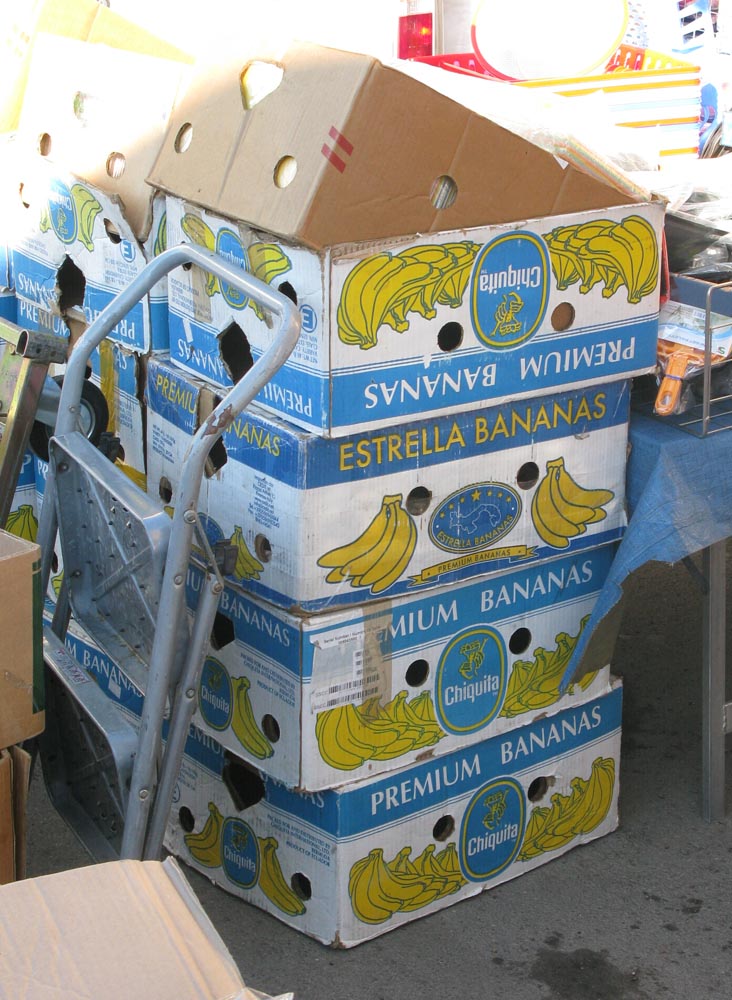 [bananas2.jpg]