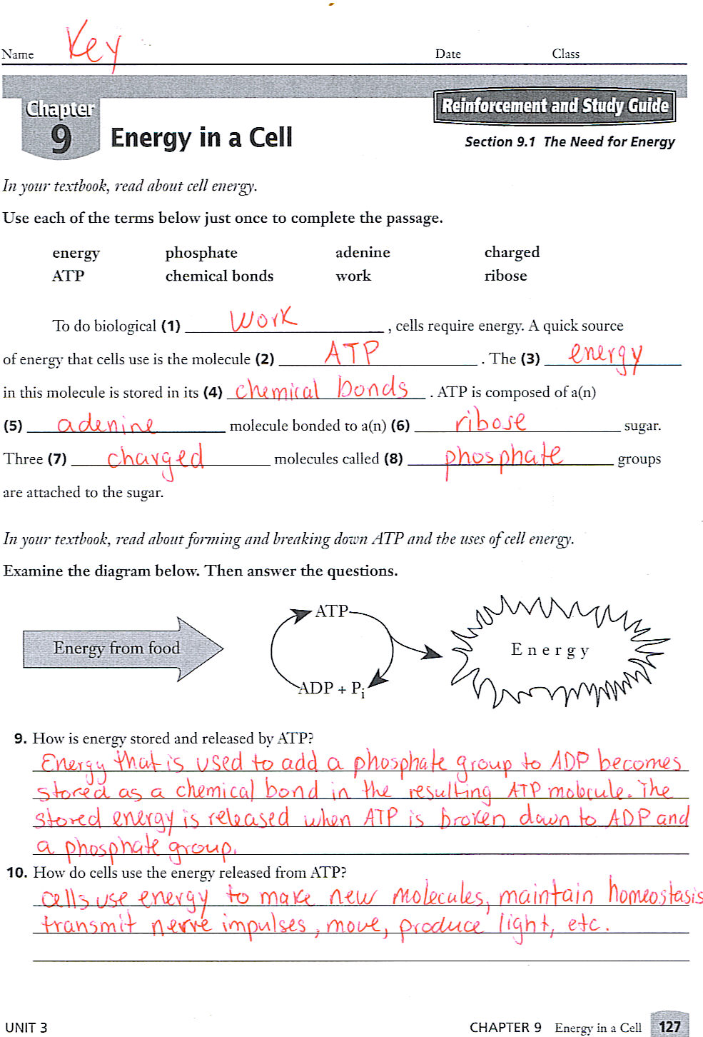 IB Biology - Solalto: 9th Grade - 3rd MP