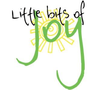 Little Bits of Joy