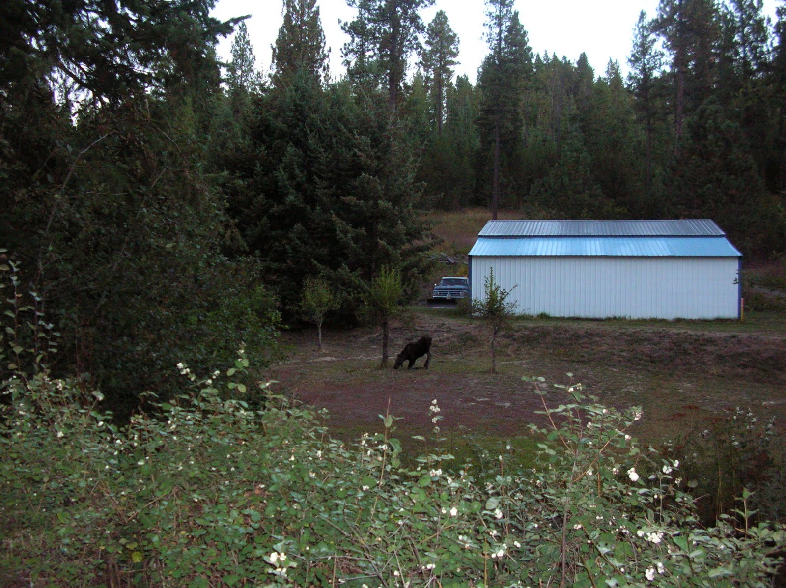 [DSCN0473.JPG]