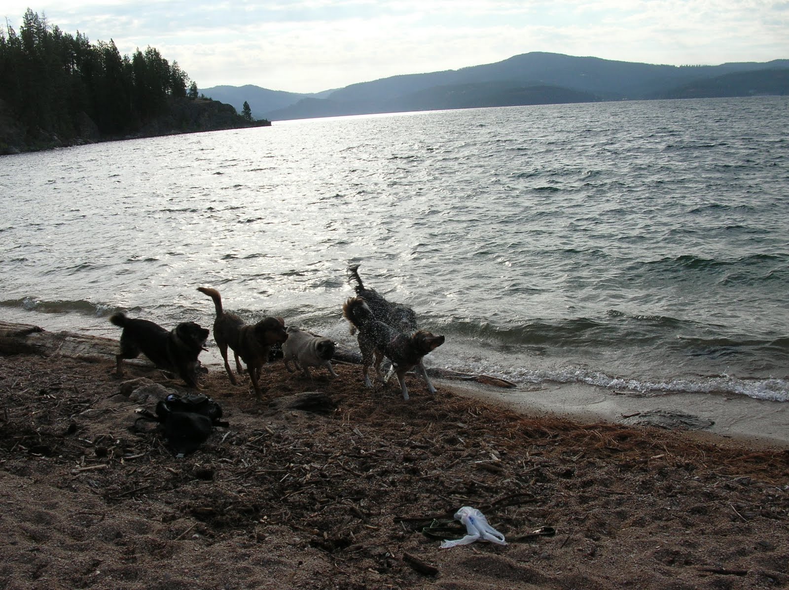 [DSCN0444.JPG]