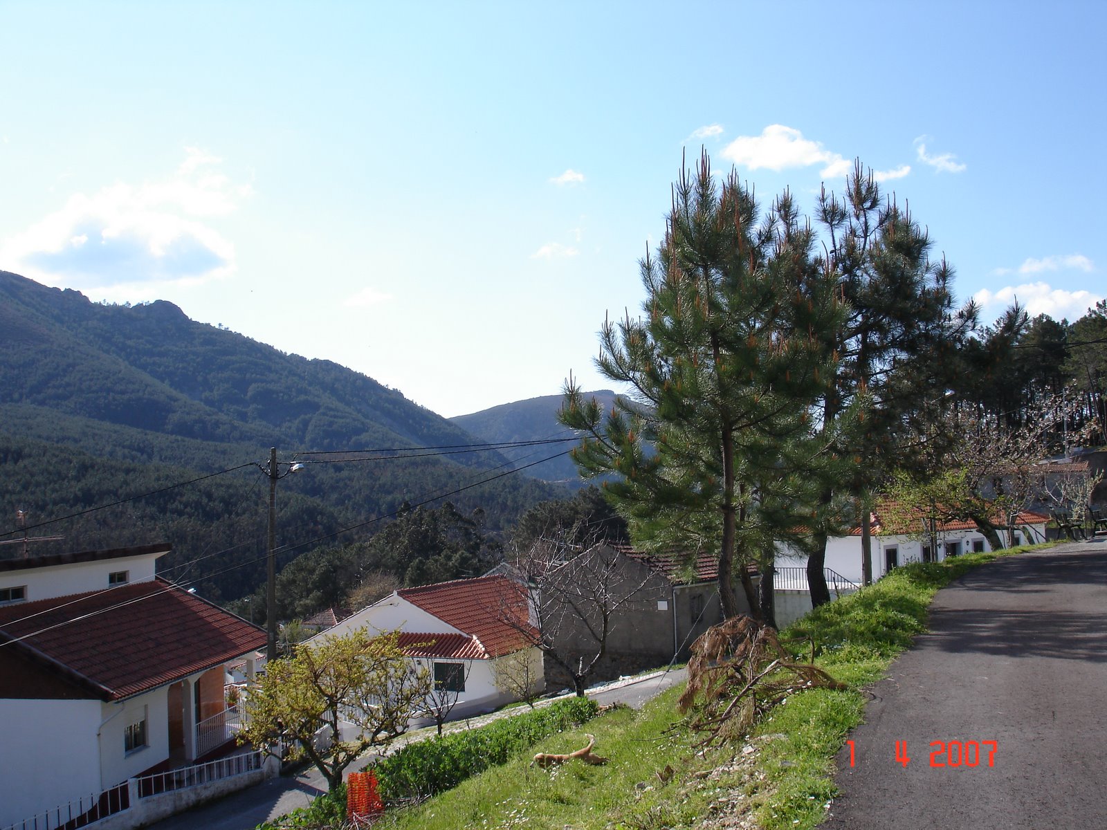 [DSC01747.JPG]
