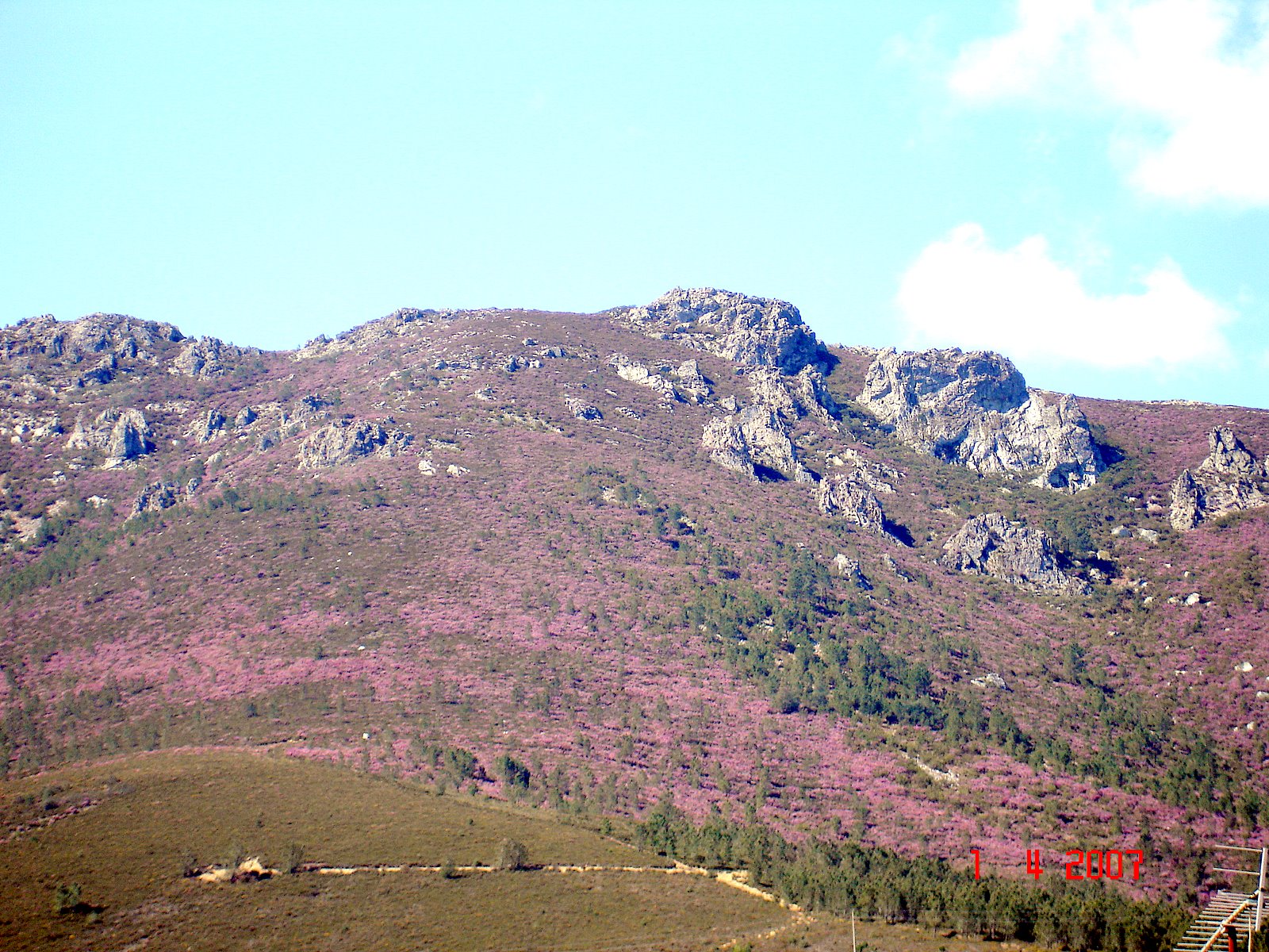 [DSC01723.JPG]