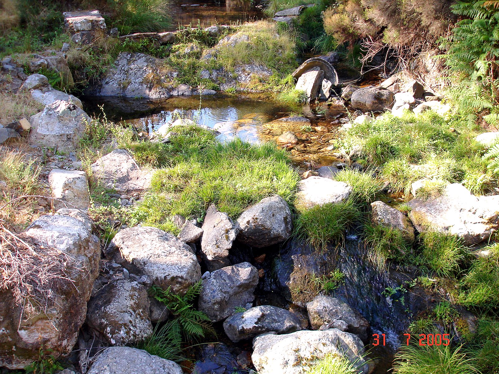 [DSC00364.JPG]