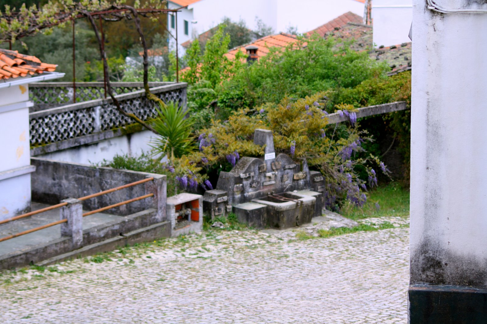 [IMG_2956.JPG]