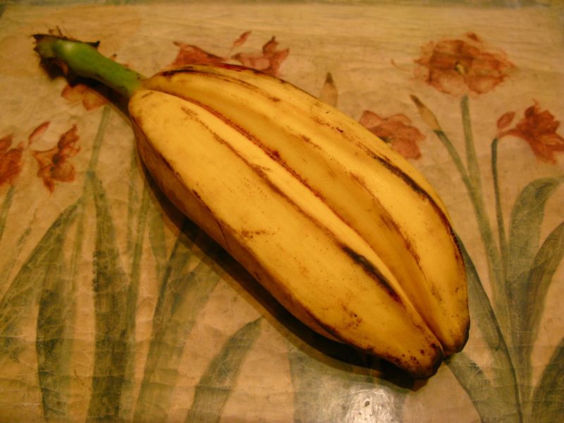[banana-Siamese.jpg]