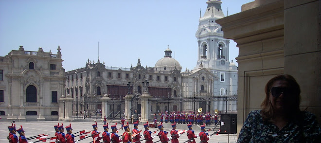 LOS USARES DE PALACIO DE GOBIEERNO