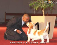 BRAVE BASSET & CLAUDIO CRUZ