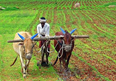 Farmer’s contribution in natural  resource :--