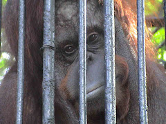 Manila Zoo, Phillipines