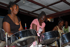 A better pic of the steel band.