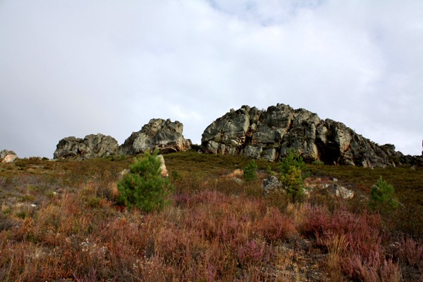 [IMG_2092.JPG]
