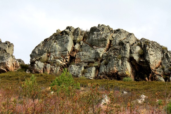 [IMG_2088.JPG]