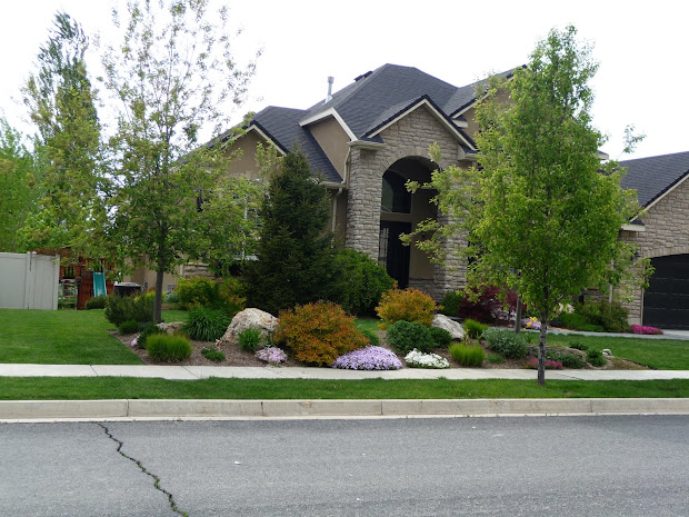 landscape front - of house