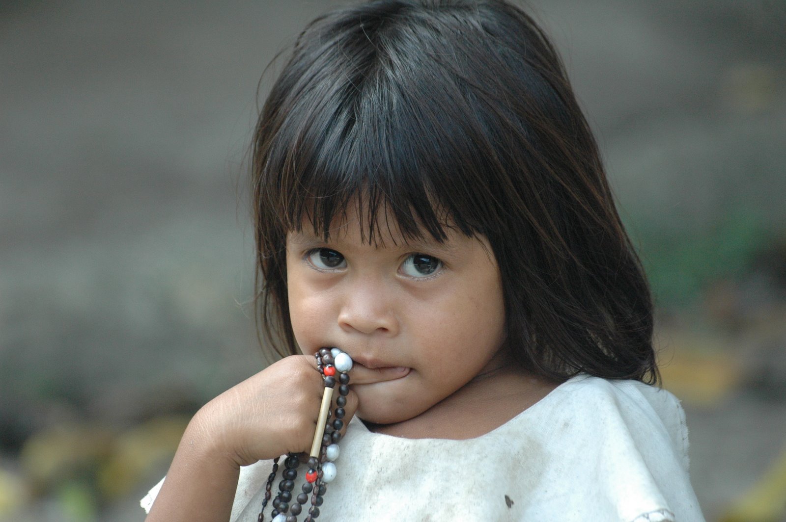 [DSC_6084.JPG]