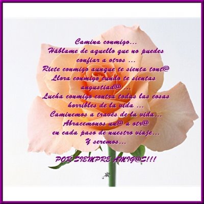 [amor+amistad+13.jpg]